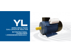 YL系列单相双值电容异